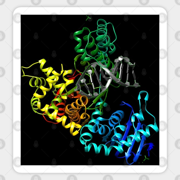 DNA Polymerase Cool Biology Gift (Black Background) Sticker by Harry Lee